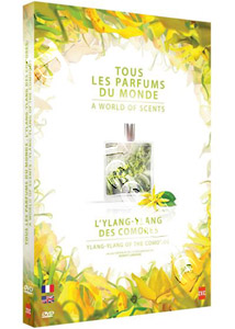 All the perfumes of the world: Ylang-Ylang from the Comoros | Tous les parfums du monde: L